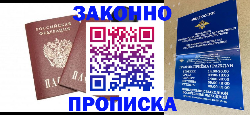 прописка гарантия в Кингисеппе